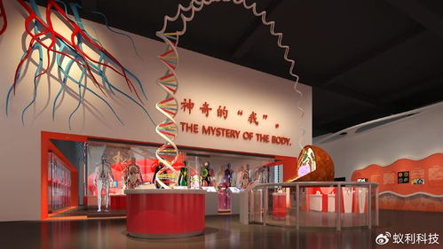 生命文化教育的重要性及其與安全健康體驗(yàn)場館的對(duì)比分析